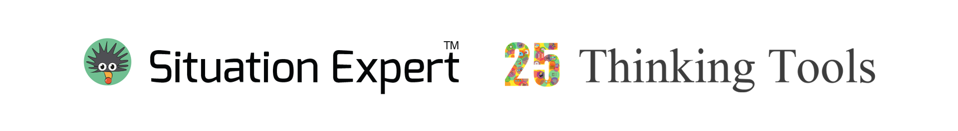 Se 25thinking logo
